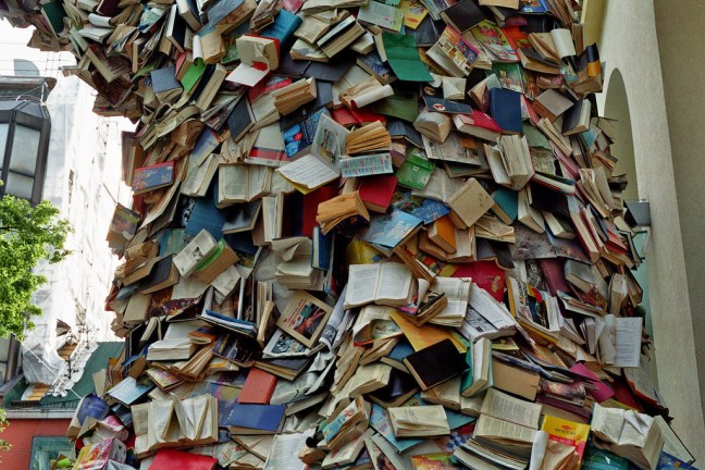 525385511_fadff3076d_b